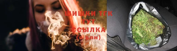 гашик Богданович