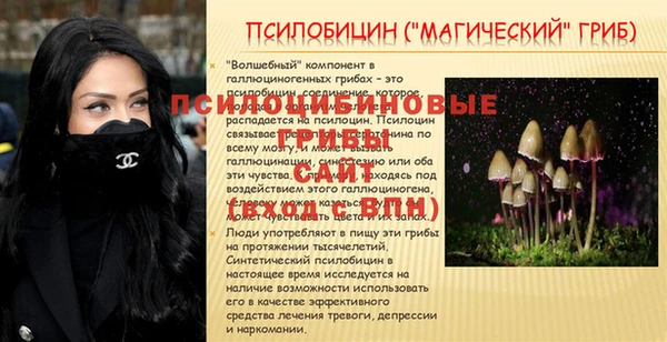 гашик Богданович