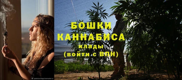 Альфа ПВП Богородск