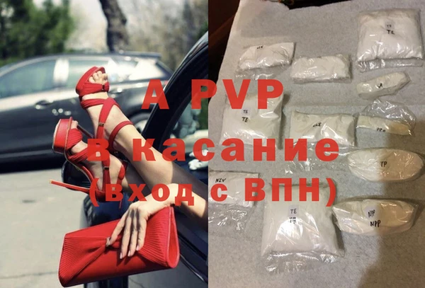 гашик Богданович