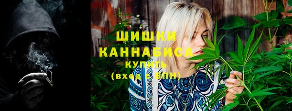гашик Богданович