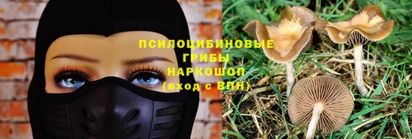гашик Богданович