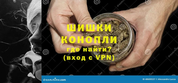 Альфа ПВП Богородск