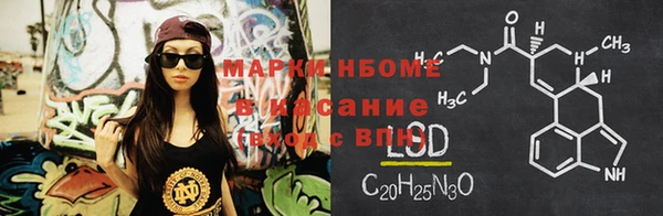 гашик Богданович